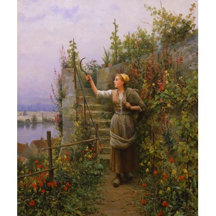 Rehs daniel ridgway knight the signal